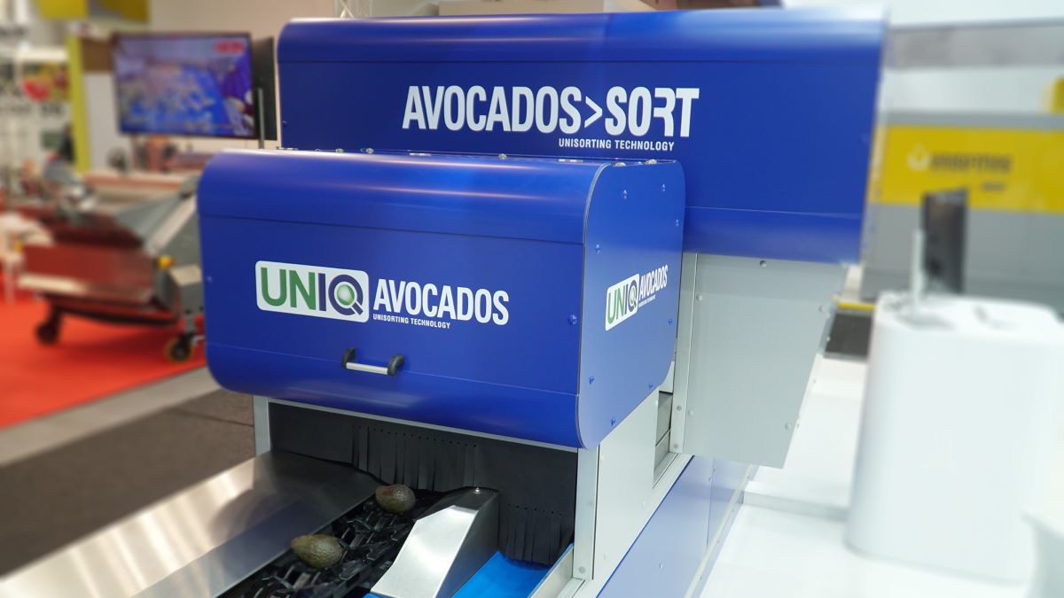 Unitec_Avocados Sort_UNIQ Avocados.jpg